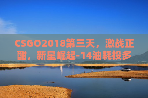 CSGO2018第三天，激战正酣，新星崛起-14油耗投多少钱一公里