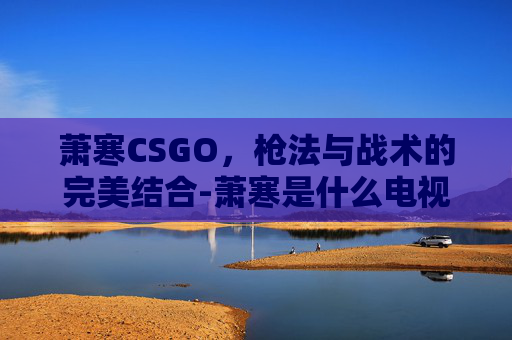 萧寒CSGO，枪法与战术的完美结合-萧寒是什么电视剧