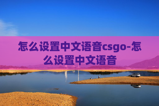 怎么设置中文语音csgo-怎么设置中文语音