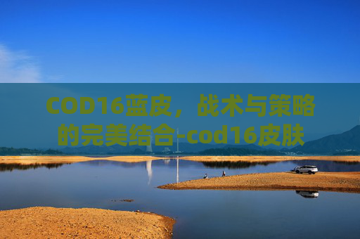 COD16蓝皮，战术与策略的完美结合-cod16皮肤