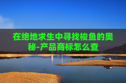 在绝地求生中寻找梭鱼的奥秘-产品商标怎么查 在绝地求生中寻找梭鱼的奥秘-产品商标怎么查