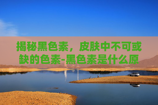 揭秘黑色素,皮肤中不可或缺的色素-黑色素是什么原因引起的 揭秘黑色素,皮肤中不可或缺的色素-黑色素是什么原因引起的