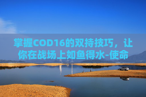 掌握COD16的双持技巧,让你在战场上如鱼得水-使命召唤16怎么双人 掌握COD16的双持技巧,让你在战场上如鱼得水-使命召唤16怎么双人