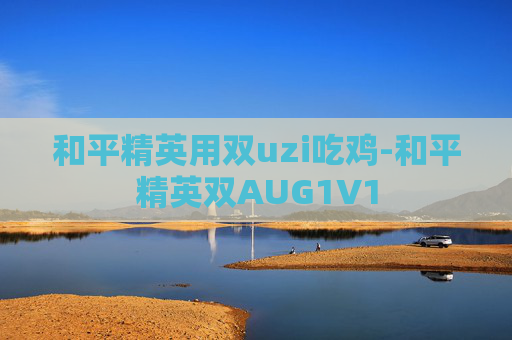和平精英用双uzi吃鸡-和平精英双AUG1V1