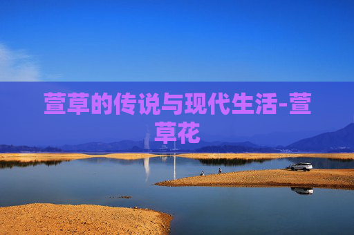 萱草的传说与现代生活-萱草花