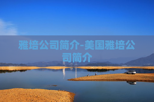 雅培公司简介-美国雅培公司简介