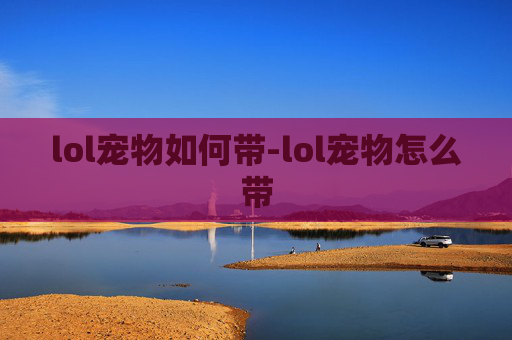 lol宠物如何带-lol宠物怎么带