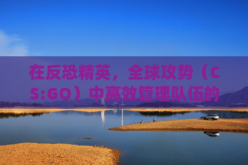 在反恐精英，全球攻势（CS:GO）中高效管理队伍的策略-csgo怎样管理员模式运行