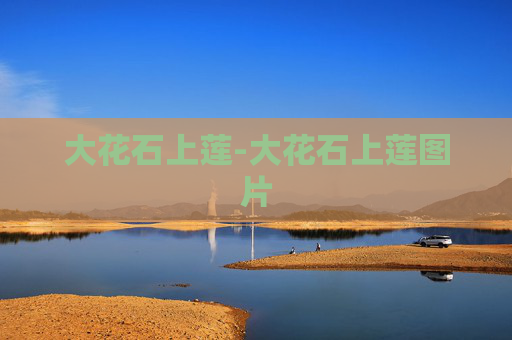 大花石上莲-大花石上莲图片