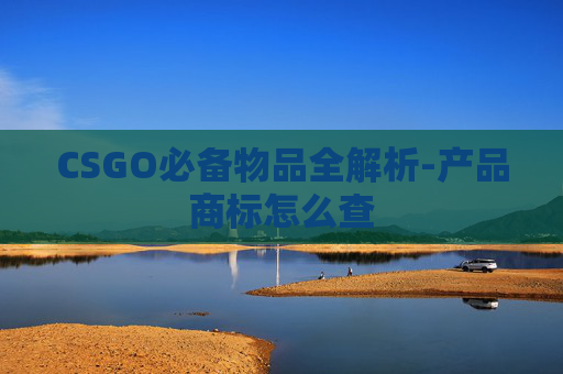 CSGO必备物品全解析-产品商标怎么查