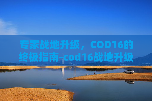 专家战地升级，COD16的终极指南-cod16战地升级怎么装备两个