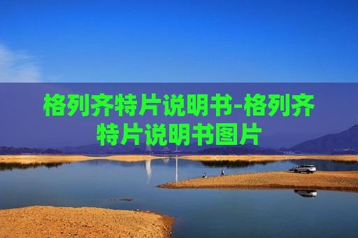格列齐特片说明书-格列齐特片说明书图片