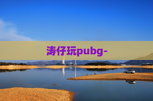 涛仔玩pubg-
