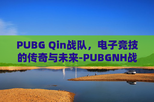 PUBG Qin战队，电子竞技的传奇与未来-PUBGNH战队