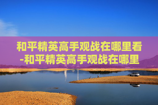 和平精英高手观战在哪里看-和平精英高手观战在哪里看到