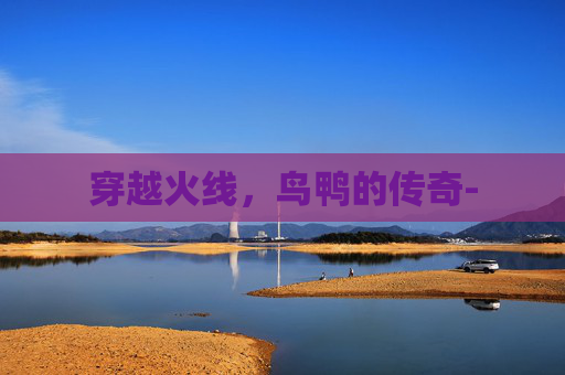 穿越火线，鸟鸭的传奇-