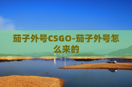 茄子外号CSGO-茄子外号怎么来的