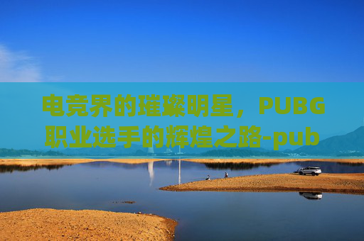 电竞界的璀璨明星，PUBG职业选手的辉煌之路-pubg职业选手mming
