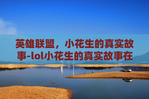 英雄联盟，小花生的真实故事-lol小花生的真实故事在线观看