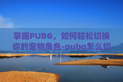 掌握PUBG，如何轻松切换你的宠物角色-pubg怎么切换服务器