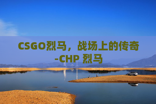 CSGO烈马，战场上的传奇-CHP 烈马