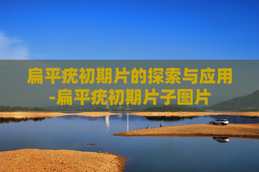 扁平疣初期片的探索与应用-扁平疣初期片子图片