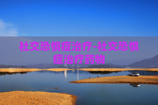 社交恐惧症治疗-社交恐惧症治疗药物