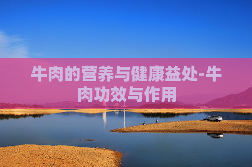 牛肉的营养与健康益处-牛肉功效与作用
