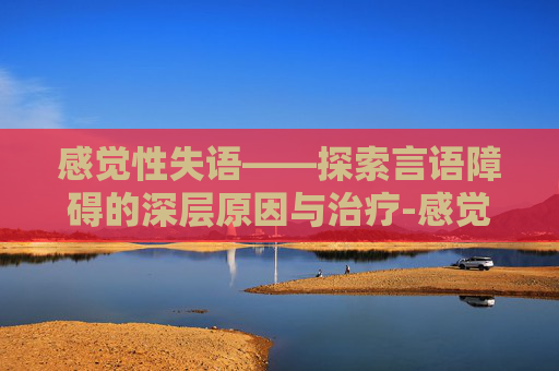 感觉性失语——探索言语障碍的深层原因与治疗-感觉性失语怎么治疗