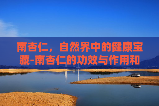 南杏仁，自然界中的健康宝藏-南杏仁的功效与作用和主治