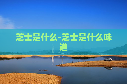 芝士是什么-芝士是什么味道