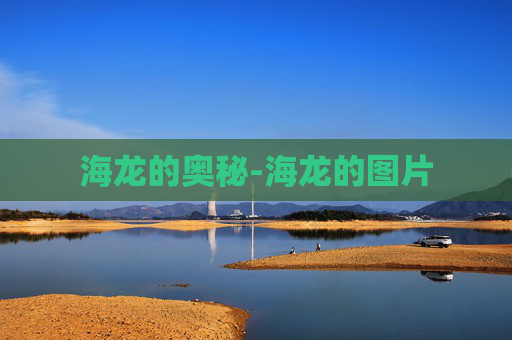 海龙的奥秘-海龙的图片