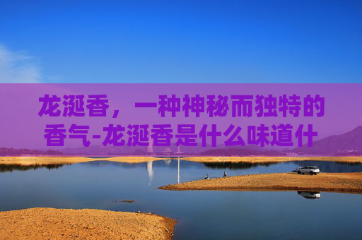 龙涎香，一种神秘而独特的香气-龙涎香是什么味道什么形状