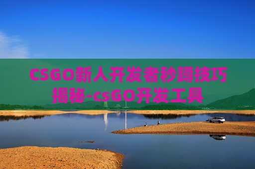CSGO新人开发者秒蹲技巧揭秘-csGO开发工具