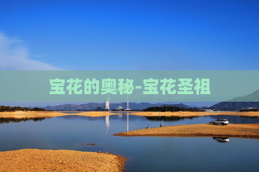 宝花的奥秘-宝花圣祖
