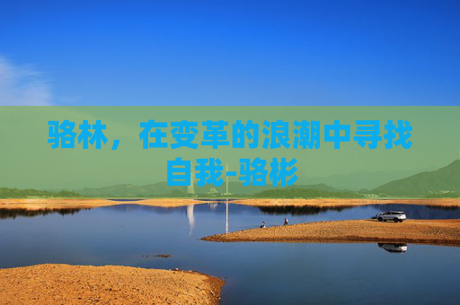 骆林,在变革的浪潮中寻找自我-骆彬 骆林,在变革的浪潮中寻找自我-骆彬