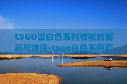 CSGO蓝白色系列枪械的鉴赏与选择-csgo白色系列套