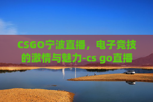 CSGO宁波直播，电子竞技的激情与魅力-cs go直播