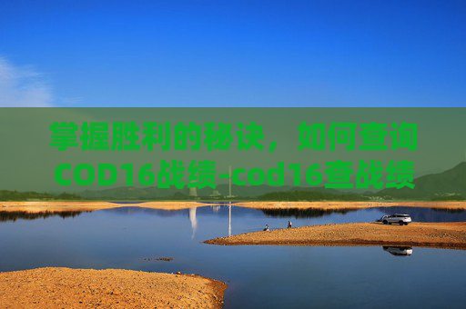 掌握胜利的秘诀，如何查询COD16战绩-cod16查战绩网站