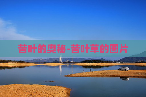 苦叶的奥秘-苦叶草的图片