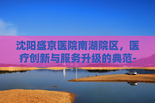 沈阳盛京医院南湖院区，医疗创新与服务升级的典范-沈阳盛京医院南湖院区地铁几号线