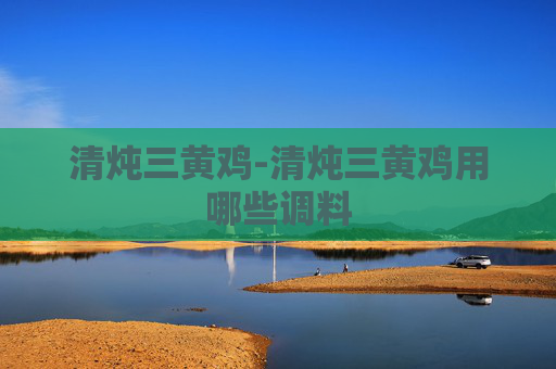 清炖三黄鸡-清炖三黄鸡用哪些调料