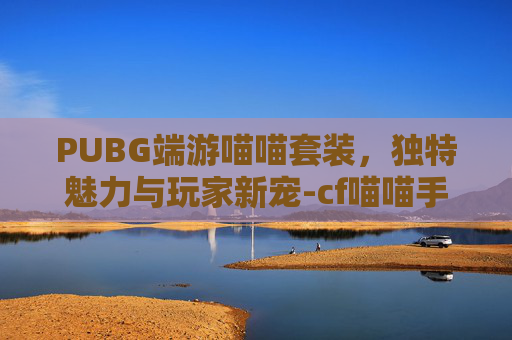 PUBG端游喵喵套装，独特魅力与玩家新宠-cf喵喵手套最快获取方法
