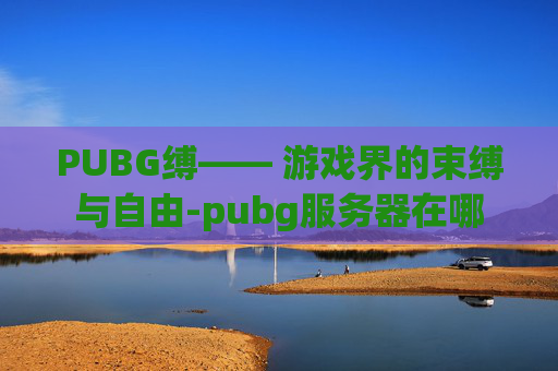 PUBG缚—— 游戏界的束缚与自由-pubg服务器在哪