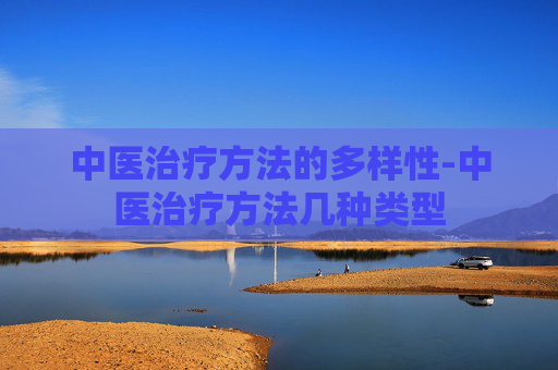 中医治疗方法的多样性-中医治疗方法几种类型