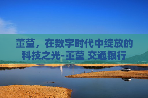 董莹，在数字时代中绽放的科技之光-董莹 交通银行