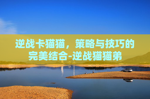 逆战卡猫猫，策略与技巧的完美结合-逆战猫猫弟
