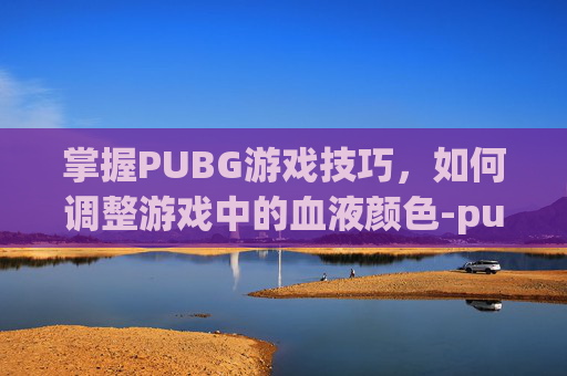 掌握PUBG游戏技巧，如何调整游戏中的血液颜色-pubg血液颜色怎么调