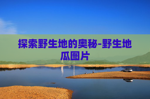 探索野生地的奥秘-野生地瓜图片