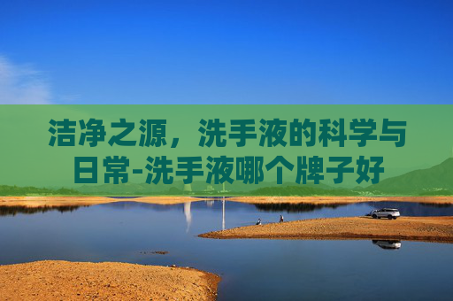 洁净之源，洗手液的科学与日常-洗手液哪个牌子好